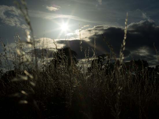 Hasselblad XCD 80mm F1.9