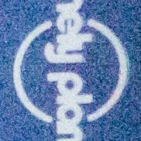 iso1600.jpg