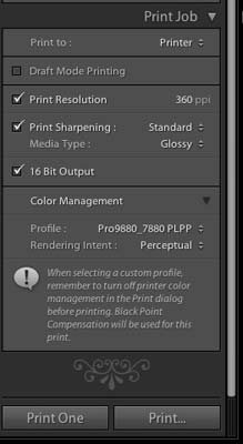 Lightroom 2 - Main Interface