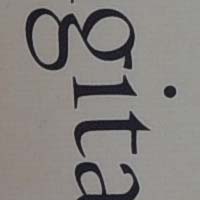 f8.jpg