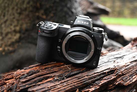 Pirate Lull Humidity Nikon Z6 II Review | Photography Blog