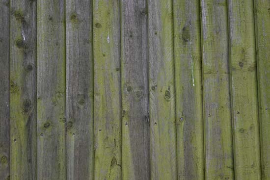 Nikon Z 24-50mm f/4-6.3