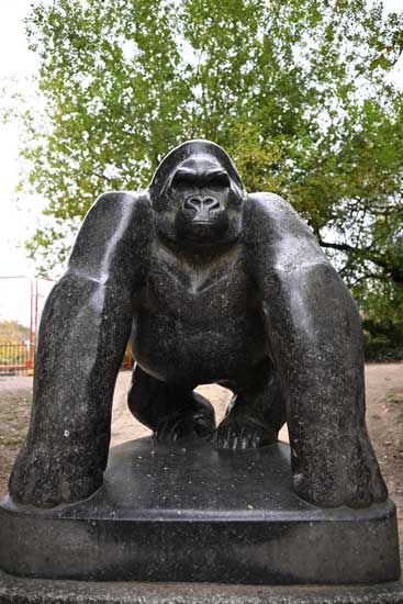 Nikon Z 24‑70mm f/2.8 S II