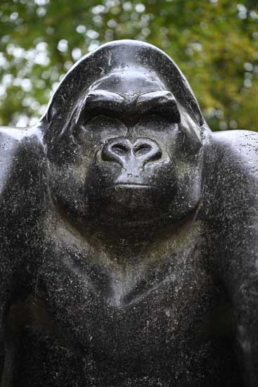 Nikon Z 24‑70mm f/2.8 S II