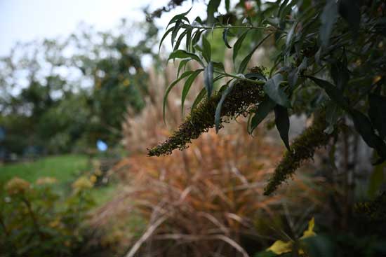 Nikon Z 24‑70mm f/2.8 S II