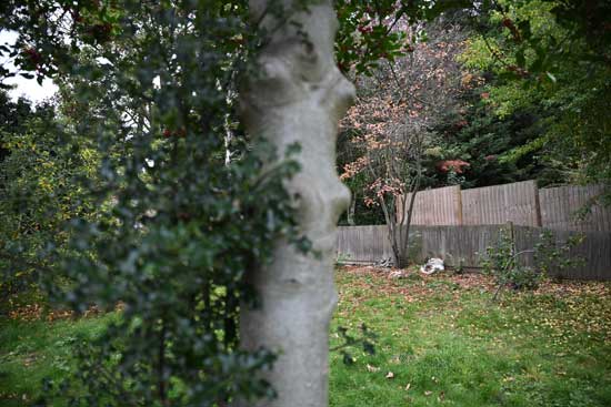 Nikon Z 24‑70mm f/2.8 S II