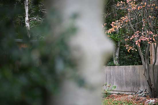 Nikon Z 24‑70mm f/2.8 S II