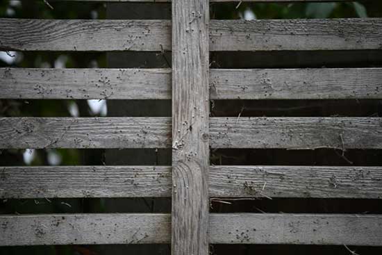 Nikon Z 24‑70mm f/2.8 S II