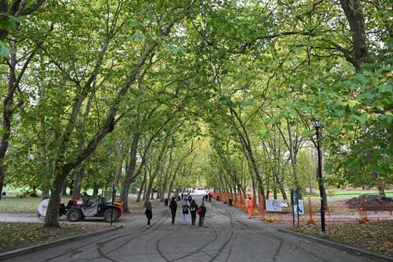 Nikon Z 24‑70mm f/2.8 S II