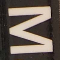 f4.jpg