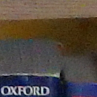 iso1600.jpg