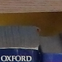 iso400.jpg