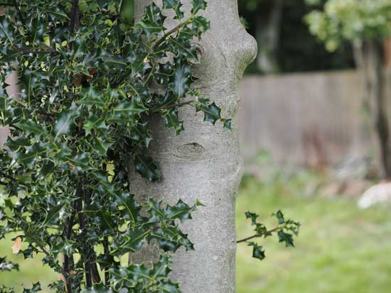 OM System M.Zuiko Digital ED 50-200mm F2.8 IS PRO