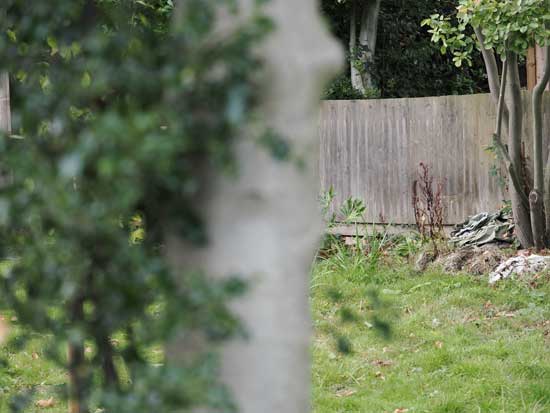 OM System M.Zuiko Digital ED 50-200mm F2.8 IS PRO