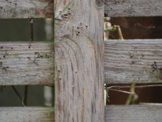 OM System M.Zuiko Digital ED 50-200mm F2.8 IS PRO