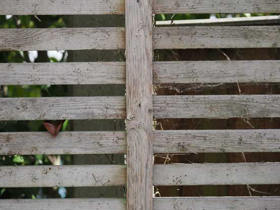 OM System M.Zuiko Digital ED 50-200mm F2.8 IS PRO