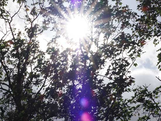 OM System M.Zuiko Digital ED 50-200mm F2.8 IS PRO