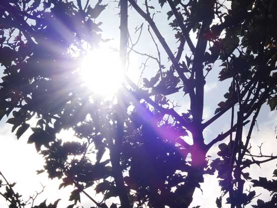 OM System M.Zuiko Digital ED 50-200mm F2.8 IS PRO