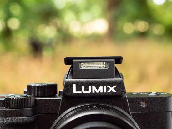 Panasonic Lumix G100 review