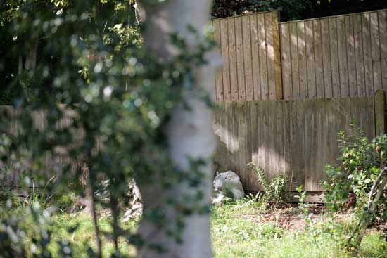 Panasonic Lumix S 100-500mm F5-7.1