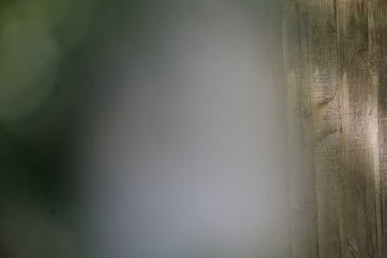 Panasonic Lumix S 100-500mm F5-7.1