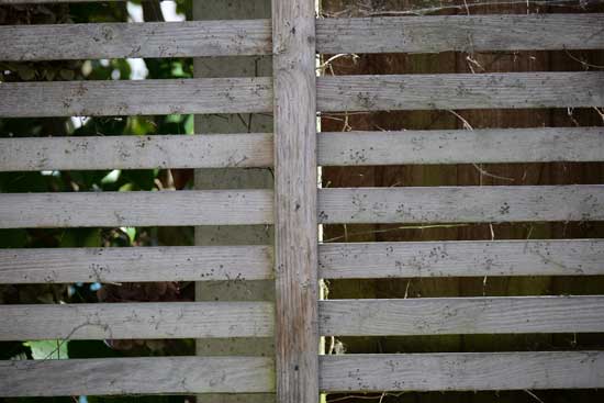 Panasonic Lumix S 100-500mm F5-7.1