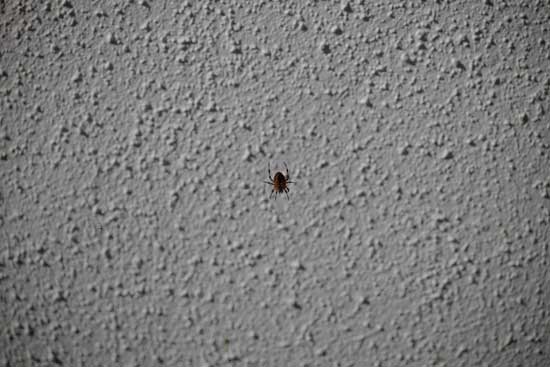 Panasonic Lumix S 100-500mm F5-7.1