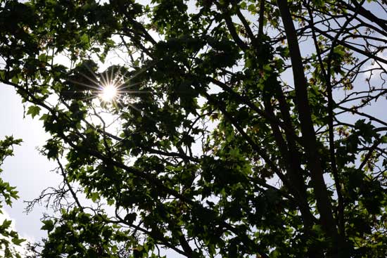 Panasonic Lumix S 100-500mm F5-7.1