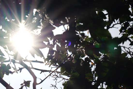 Panasonic Lumix S 100-500mm F5-7.1