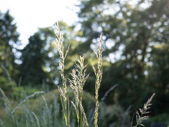 Panasonic Lumix S 20-60mm F3.5-5.6