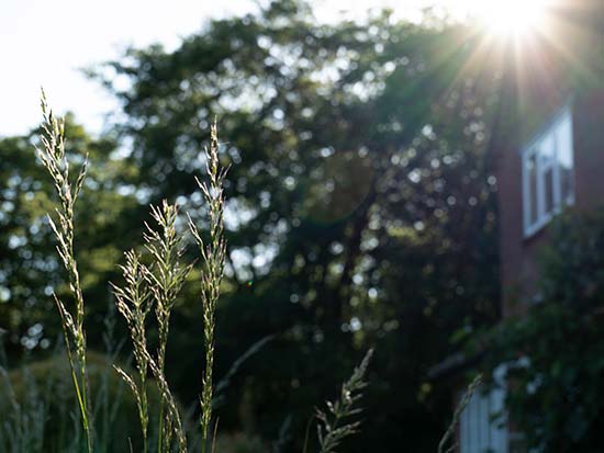 Panasonic Lumix S 20-60mm F3.5-5.6