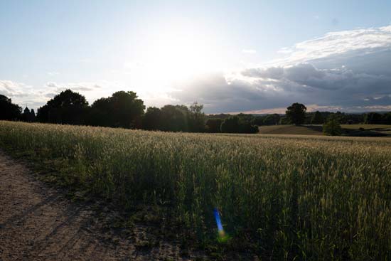 Panasonic Lumix S PRO 16-35mm F4