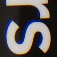 f4.jpg