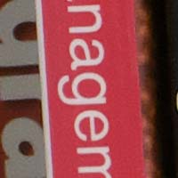 iso1600raw.jpg