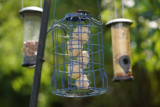 Sigma 100-400mm F5-6.3 DG DN OS