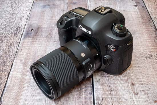 Sigma 70mm f/2.8 DG Macro Art Review | Photography Blog