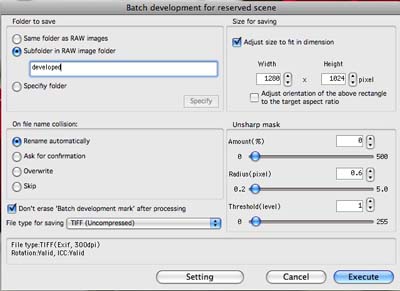 Silkypix Developer Studio - Batch Settings