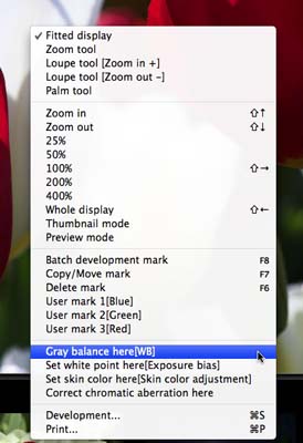 Silkypix Developer Studio - Context Menu