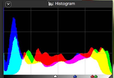 Silkypix Developer Studio - Histogram