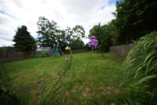 Sony FE 12-24mm F2.8 GM