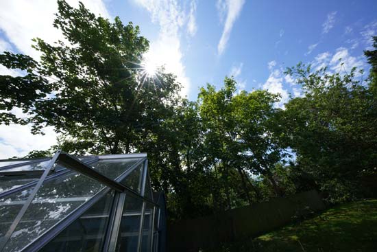 Sony FE 12-24mm F2.8 GM