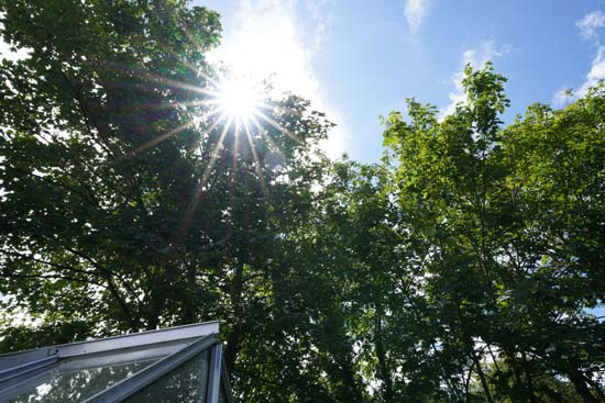 Sony FE 12-24mm F2.8 GM