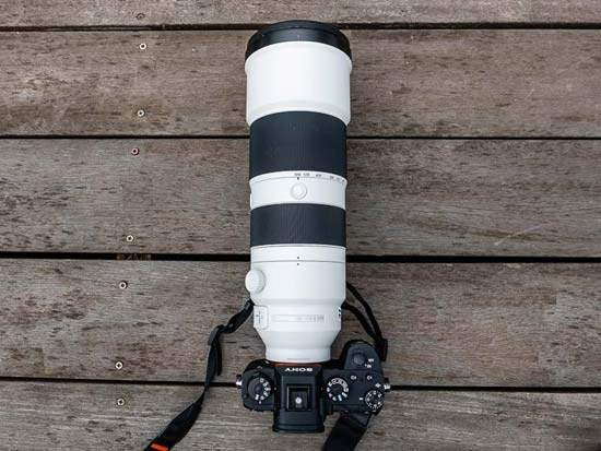 Sony 200-600mm Review