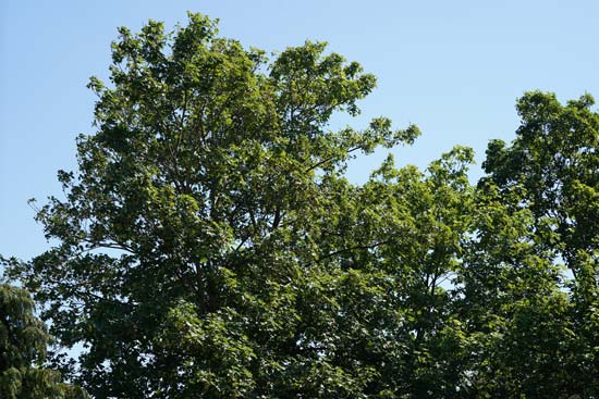 Tamron 70-180mm F/2.8 Di III VXD