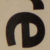 f2_8.jpg