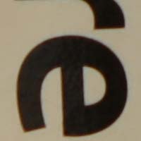 f4.jpg