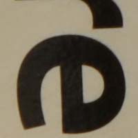 f8.jpg