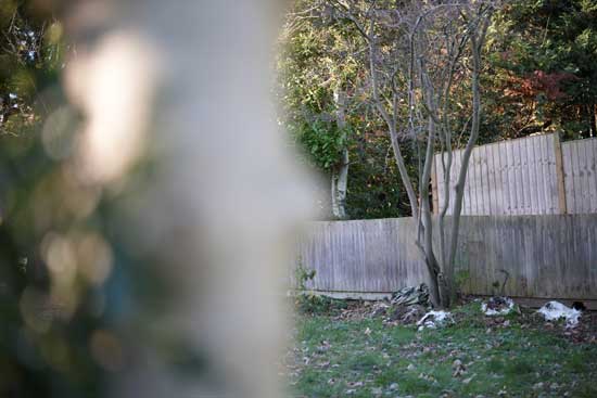 Viltrox AF 50mm F1.4 PRO