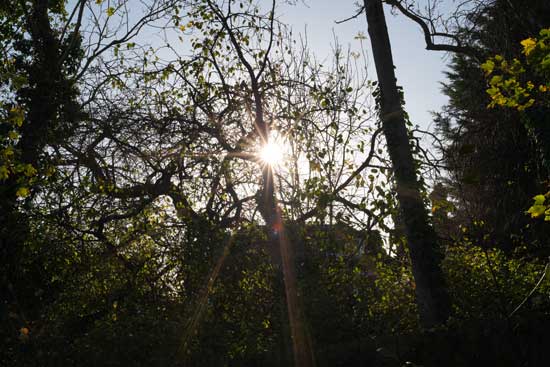 Viltrox AF 50mm F1.4 PRO