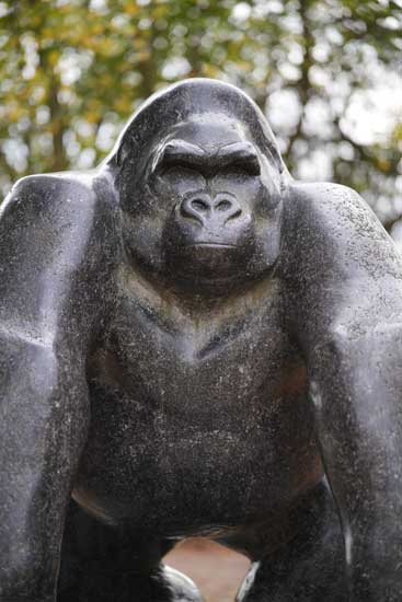 Viltrox AF 85mm F2.0 EVO